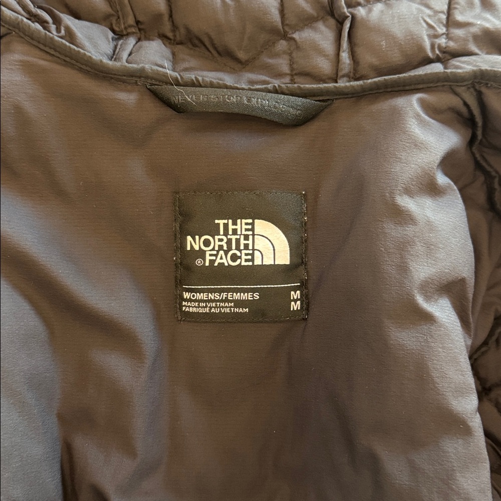 The North Face ThermoBall PrimaLoft Hooded Parka - Picture 5 of 7
